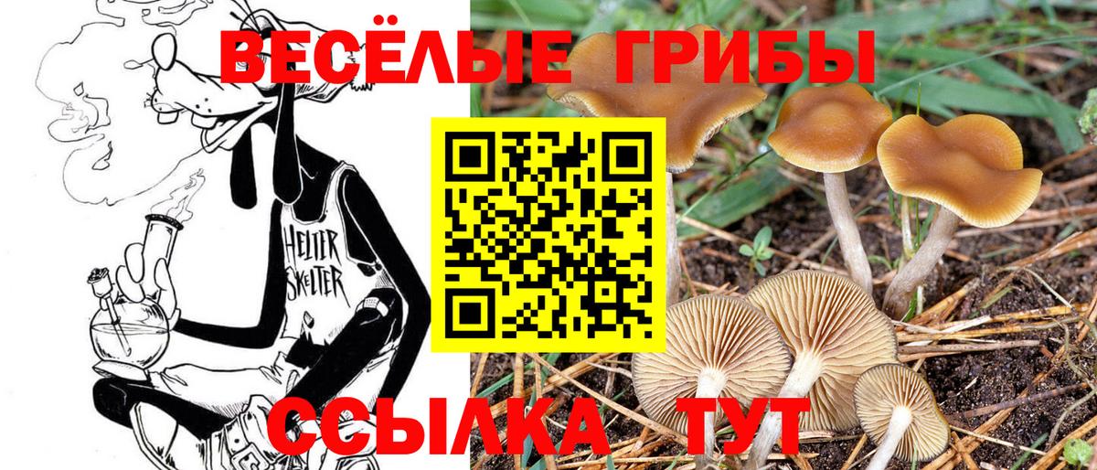 Первоуральск  Псилоцибиновые грибы мухоморы  Вход с VPN 