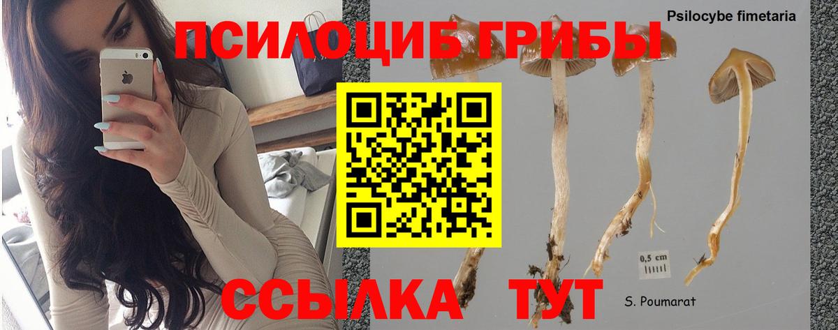 Псилоцибиновые грибы ЛСД Первоуральск